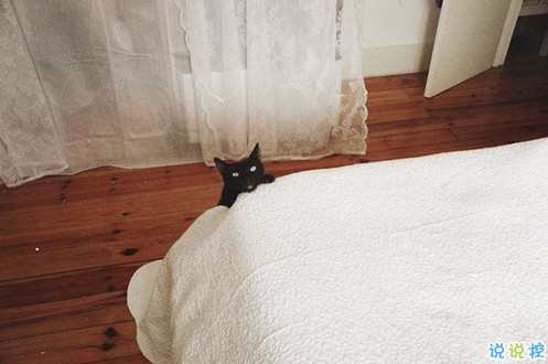 真實(shí)收獲的人生感悟說(shuō)說(shuō)帶圖片 都是人生路上換來(lái)的經(jīng)驗(yàn)教訓(xùn)7