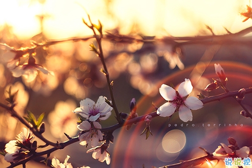 迎接2019的說說滿滿正能量帶圖片 與2018說再見用雙手去擁抱20194