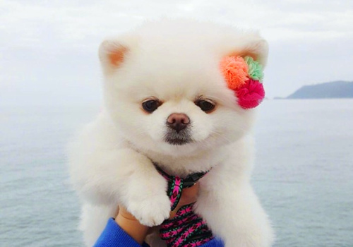 可以戳中中你笑點的搞笑說說帶圖片11