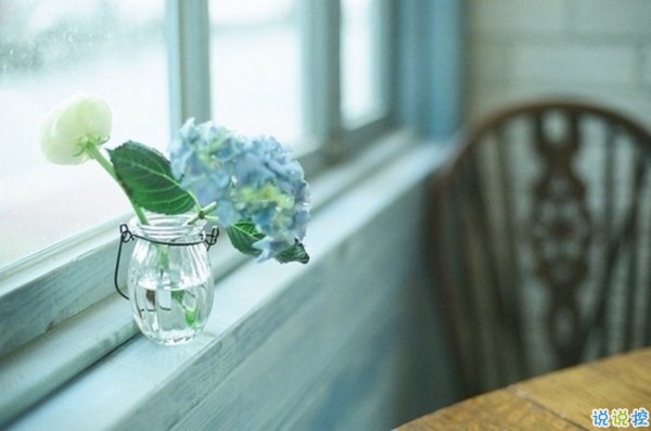 文字控喜歡的簡(jiǎn)單唯美的一句話(huà)說(shuō)說(shuō)帶圖片 煙塵滾滾一路行來(lái)我應(yīng)是迷了路了7