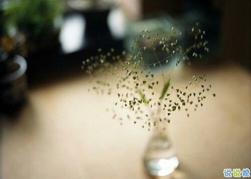 抖音朋友圈可愛說說大全帶圖片 搞怪女生說說超級獨特精辟2