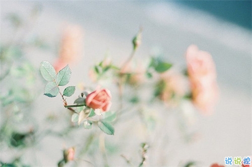 真心愛一個(gè)人的說說帶圖片 自從遇見你人生苦短甜長(zhǎng)2