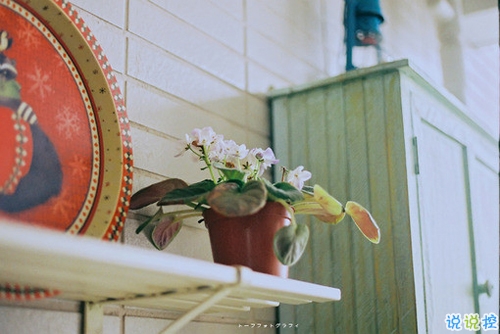 很特別的微信說(shuō)說(shuō)帶圖片獨(dú)一無(wú)二 15條值得收藏的經(jīng)典句子3