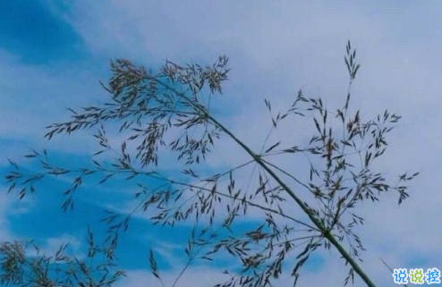 和前任說(shuō)再見(jiàn)適合發(fā)朋友圈的一句話說(shuō)說(shuō) 告別前任的句子說(shuō)說(shuō)大全3