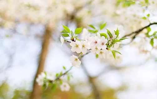 心里好煩用一段話表達的句子心情 形容焦慮的心情句子配圖5