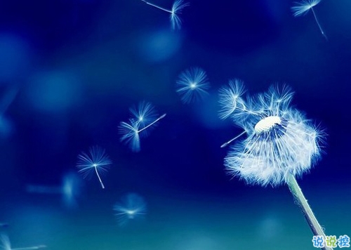 女生發(fā)朋友圈可愛搞怪的句子帶圖片 最新微信搞笑說說大全15