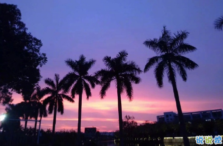 抖音比水還干凈的句子帶圖片精選14條 簡(jiǎn)單又干凈的唯美說(shuō)說(shuō)配圖6