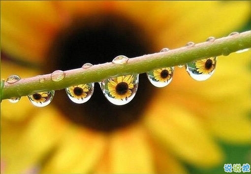 好聽(tīng)的一句話愛(ài)情句子2019 傷感的愛(ài)情句子一句話簡(jiǎn)單明了1