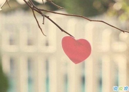 感悟生活的早安心情說說 陽光這么好別辜負(fù)了今天6