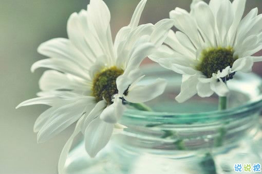 戀愛中的唯美心情說(shuō)說(shuō)帶圖片 遇到對(duì)的人感到幸福的說(shuō)說(shuō)11