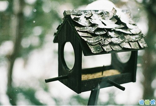 唯美文藝文字控喜歡的直擊你的內心深處的句子12