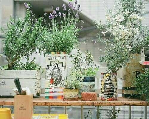 優(yōu)美有詩(shī)意的唯美文藝英文說(shuō)說(shuō)帶圖片13