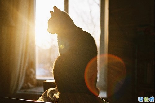 2019晚安勵志說說帶圖片 能夠給人安全感的句子經(jīng)典勵志6