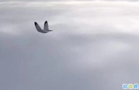 唯美說說配圖傷感篇2018:年紀(jì)大了只想跟相處不累的人在一起9