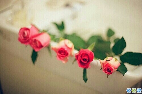 抖音最火經(jīng)典說(shuō)說(shuō)致自己 最新個(gè)人說(shuō)說(shuō)經(jīng)典勵(lì)志帶圖片5