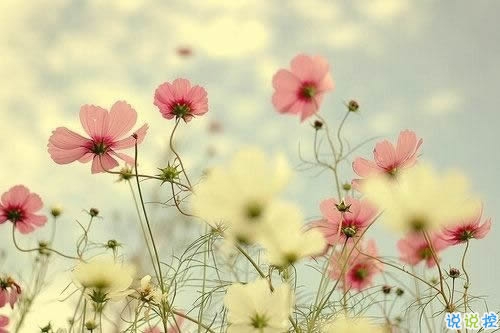 異地戀的酸甜苦辣說說大全帶圖片 關于異地戀的微信說說8