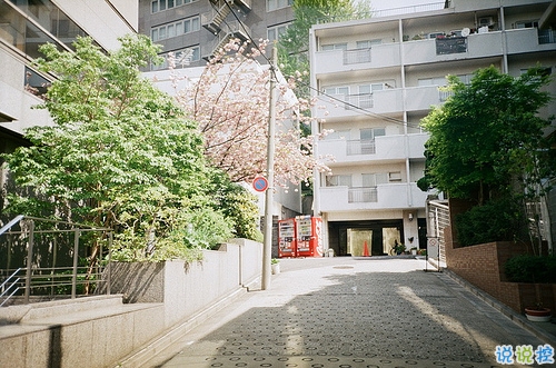 鼓舞人心的經(jīng)典說說帶圖片 朋友圈點(diǎn)贊超多的經(jīng)典說說15