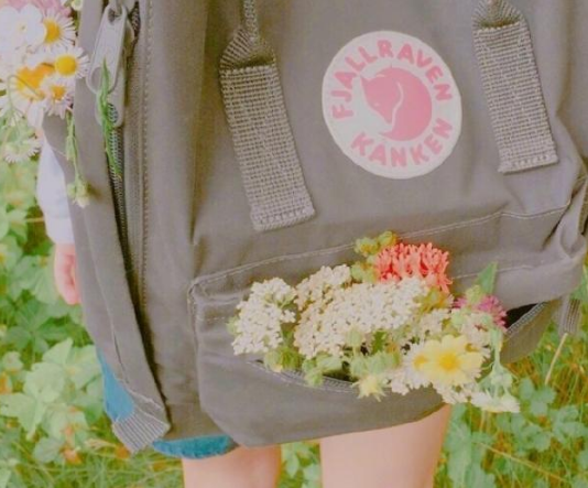 超唯美勵(lì)志的早安心語(yǔ)哲理說(shuō)說(shuō)帶圖片11