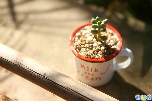 朋友圈早安勵(lì)志句子長一點(diǎn)的 美好的一天勵(lì)志句子新的開始2