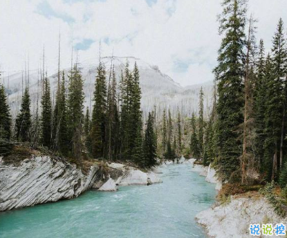 睡覺前的朋友圈晚安說說帶圖片 晚安心語說說心靈雞湯配圖12