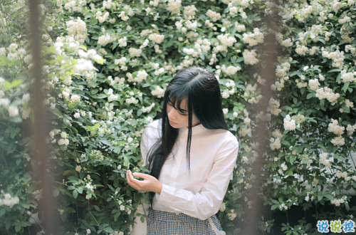 14條很美很好聽(tīng)的文藝唯美說(shuō)說(shuō)帶圖片 森系文藝范古風(fēng)說(shuō)說(shuō)14