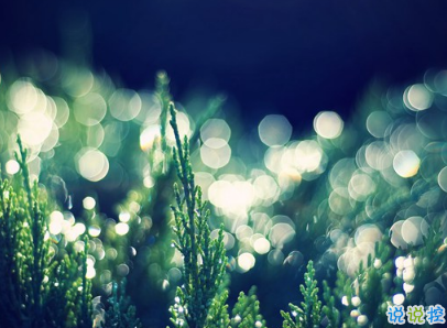 2019復(fù)活節(jié)祝福語英文大全帶翻譯配圖 復(fù)活節(jié)快樂說說致所有人7