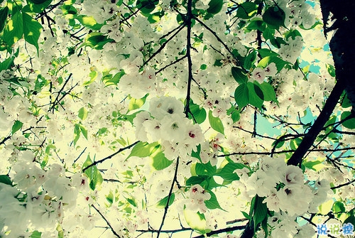 刷爆朋友圈的個(gè)性說(shuō)說(shuō)2019精選 很特別很有趣的微信說(shuō)說(shuō)大全2