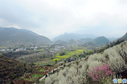 每天一句正能量的句子勵志向上 全新的元?dú)鉂M滿的勵志說說2