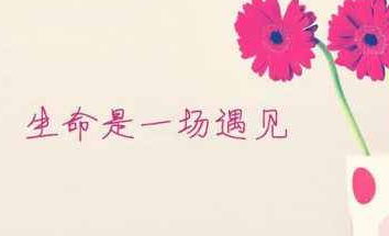 關于一輩子的愛情甜蜜說說配圖 我會讓我的愛陪你慢慢的老去9