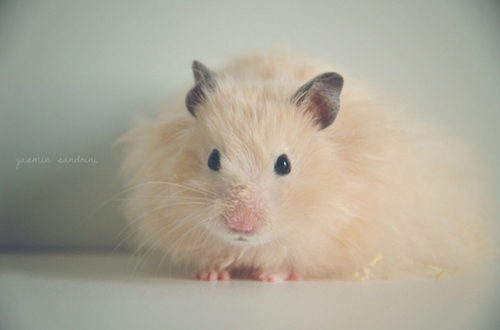 關(guān)于愛情的有些傷感難過的說說帶圖片 遇你之后步步都難走4