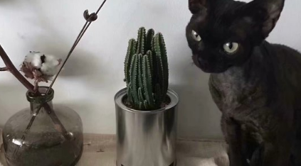 忽而夏至的悲傷日記的傷感說說配圖 你最美的青春都在陪他吃苦13