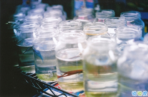 讓人聽了心酸淚目的一些話帶圖片 看完瞬間眼紅忍不住想哭10