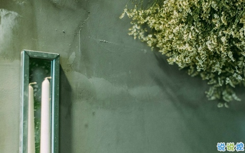 愛情中關(guān)于等待的句子和圖片 白茶清歡無別事我在等風(fēng)也等你5