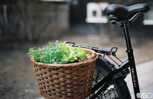 2018點(diǎn)贊最多的說(shuō)說(shuō)加圖片：速熱的人也速凍，熱鬧的人易散場(chǎng)14