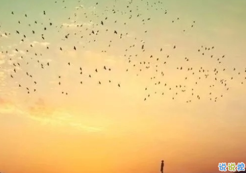 2018年勵(lì)志說說圖片致自己 永遠(yuǎn)不用討好一個(gè)不懂你的人10