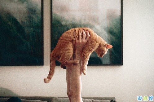 女生個性說說經(jīng)典霸氣帶圖片 知道自己不討喜那就乖一點3