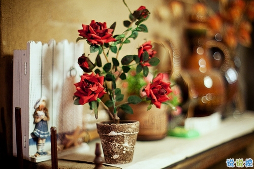 青春年少歲月中對人生的思考 精辟內(nèi)涵的經(jīng)典說說帶圖片很有意境4