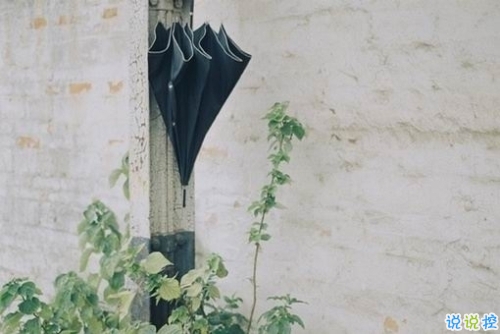 獨具一格的微信個性說說帶圖片 每一條都值得收藏3