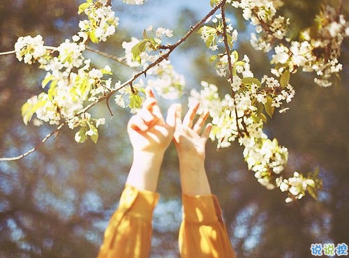 致自己的早安心語正能量勵(lì)志說說帶圖片 致自己的簡單唯美一段話說說12