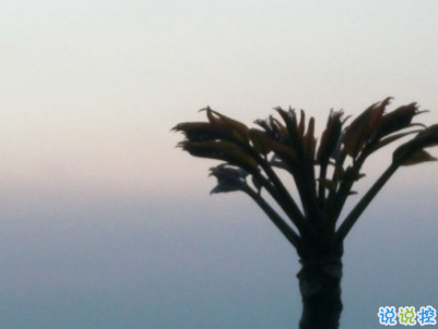 秀恩愛(ài)的優(yōu)雅句子簡(jiǎn)單好聽(tīng)配圖 我的心為你跳動(dòng)15