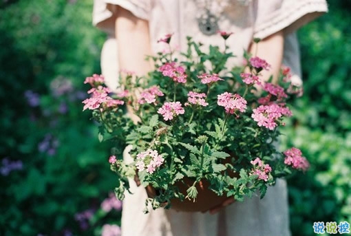 戀愛中的唯美心情說(shuō)說(shuō)帶圖片 遇到對(duì)的人感到幸福的說(shuō)說(shuō)5