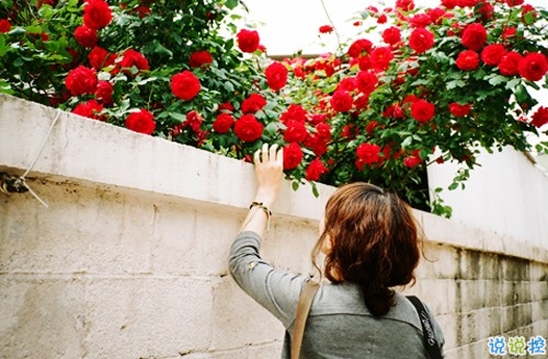 2019再見(jiàn)一月你好二月微信說(shuō)說(shuō)大全 最新勵(lì)志說(shuō)說(shuō)散發(fā)正能量1