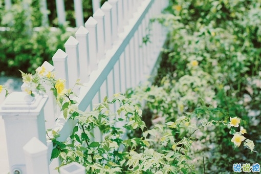 朋友圈吸引人的經(jīng)典說說帶圖片2019精選 看似簡單其實(shí)很具意義的句子3