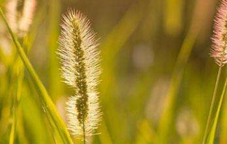 在夢里也會潸然淚下的說說帶圖 如果時光倒流峩捫能抓得住什么9