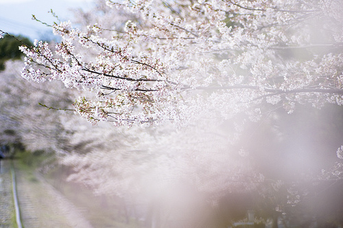 一瞬間能擊中你的唯美句子 ?傾我一生一世換取歲月靜好2