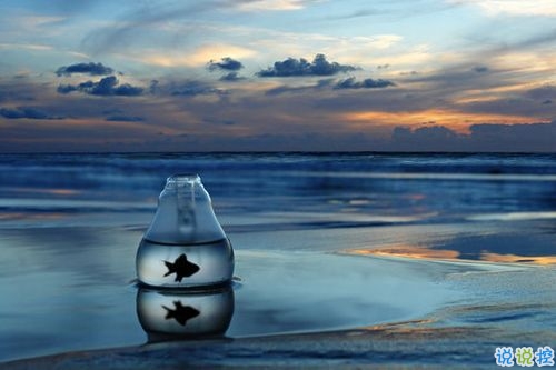 2019新年說說表白大全 新年表白男朋友的情話合集2