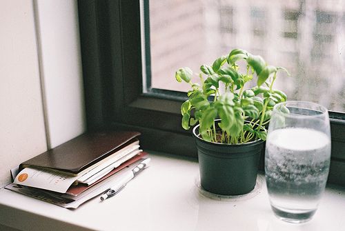 關(guān)于青春和成長(zhǎng)的適合文藝女生發(fā)說說的句子帶圖片9