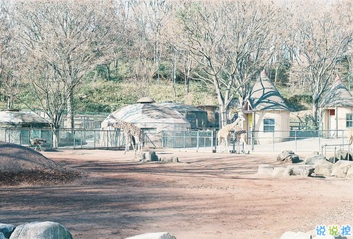 2019最新經(jīng)典說說給人希望 激勵人心的經(jīng)典說說帶圖片2