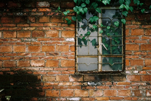 關(guān)于愛情的簡單有哲理的句子帶圖片 不要貪心找到那個對的人就第一時間決定吧7