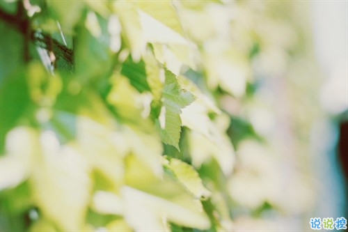 2019朋友圈個性說說必點贊的 非常吸引人的微信說說獨一無二11